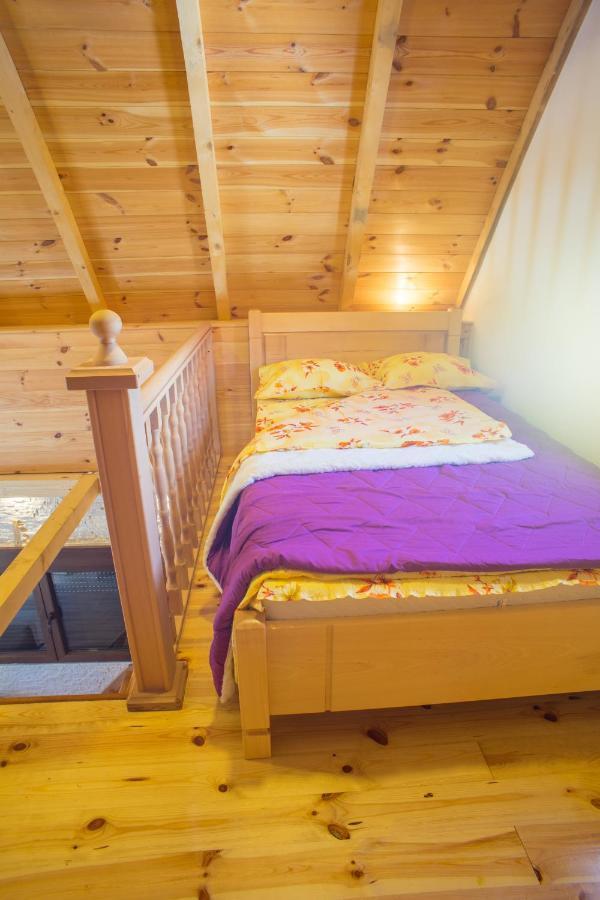 Koliba Cincila Villa Žabljak Kültér fotó